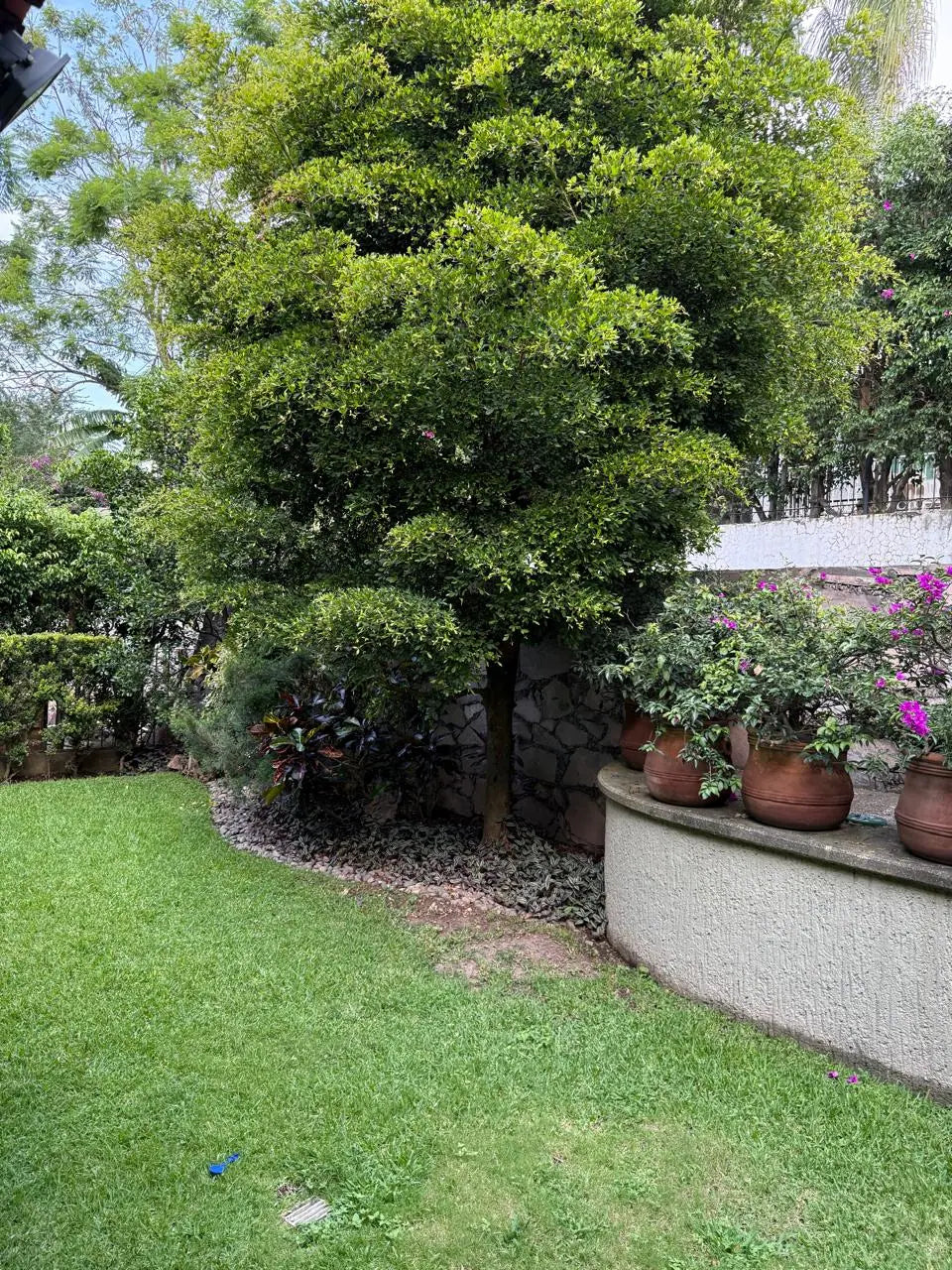 Casa a precio de oportunidad en las cañadas country club