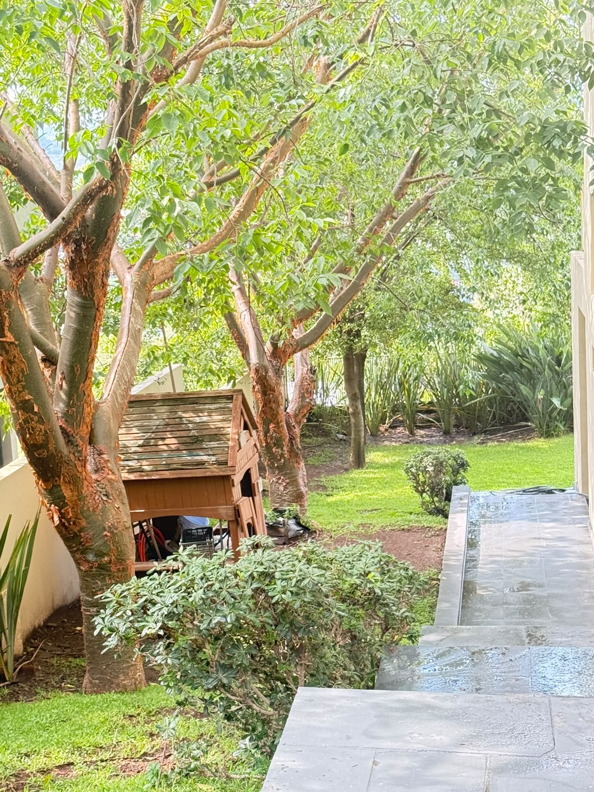 Residencia con alberca en las cañadas